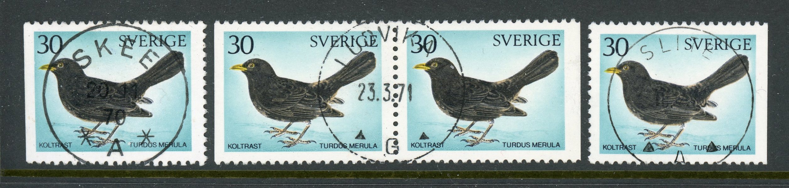 F711 B1, B2 och BB, alla lyxex.