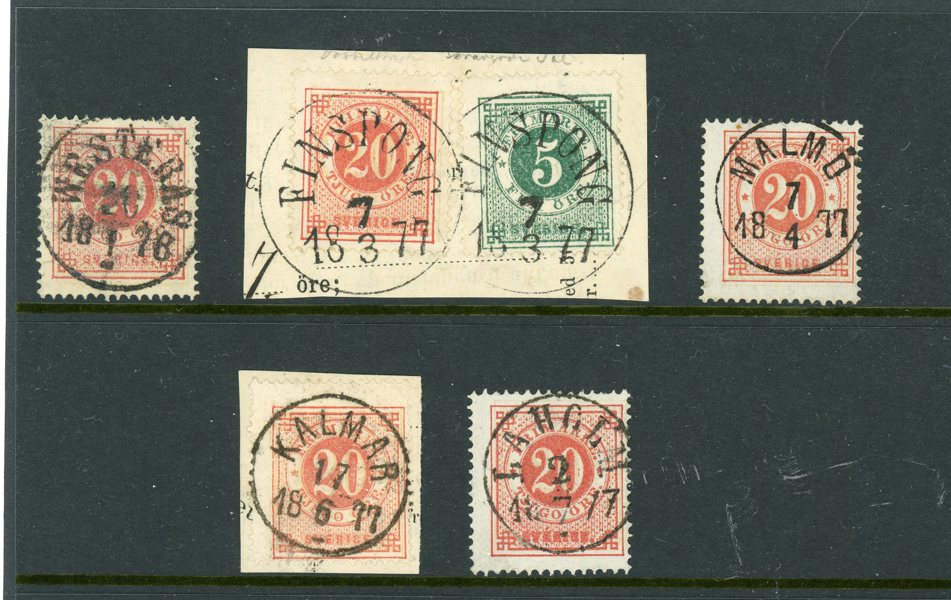 F23; fem vackra ex i fin lot.