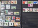 KINA PRC: samling inkl dubbletter i album.
