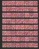 OSCAR KOPPARTRYCK; underbar samling, ca 1000ex.