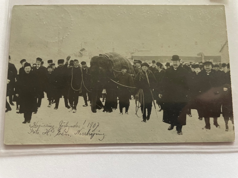 Norrköping; Elefant i snö, frank. 1907